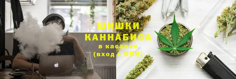 Конопля White Widow  Мурино 